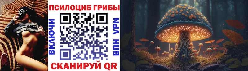 Купить закладки  Гатчина  Псилоцибиновые грибы Psilocybe 